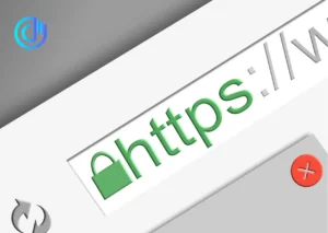 Website’s Structure for SEO