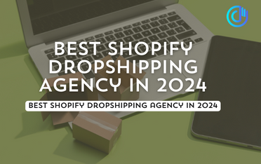 best Shopify dropshipping agency in 2024